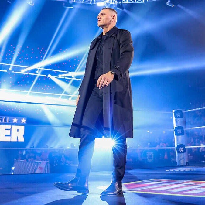 LuigiWrestling tweet media
