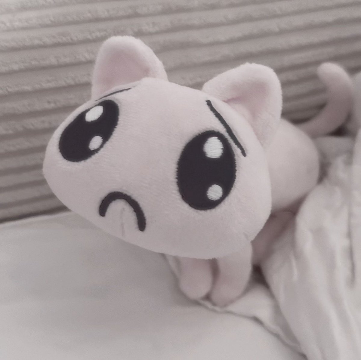 idoihrt's tweet photo. p chan says hello 🥺 https://t.co/9WBKNP7pNa