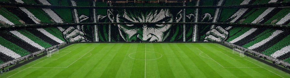 🤷💚. tweet media