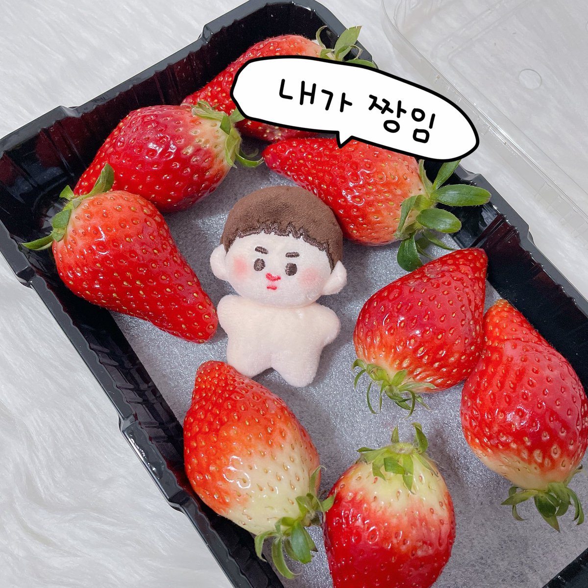 MILKYWOON tweet media