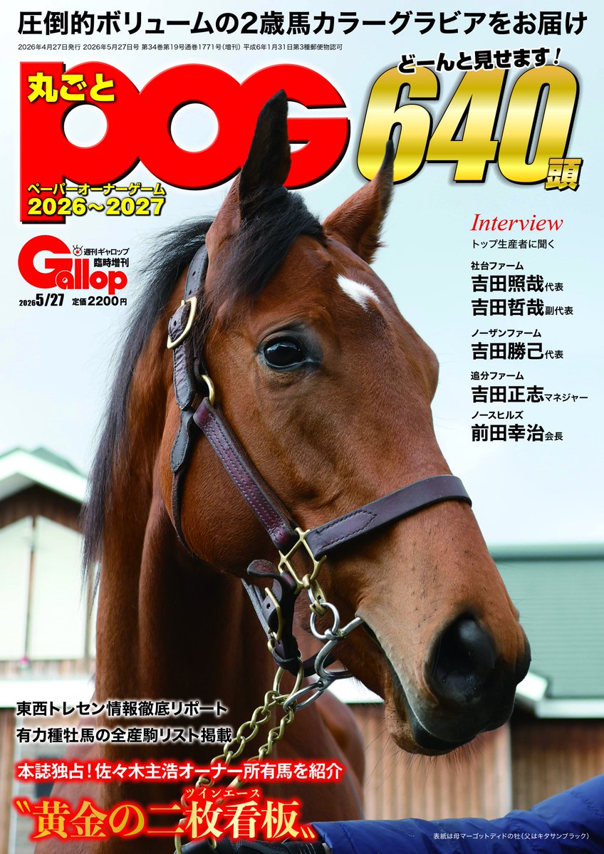 カンテレ競馬 tweet media