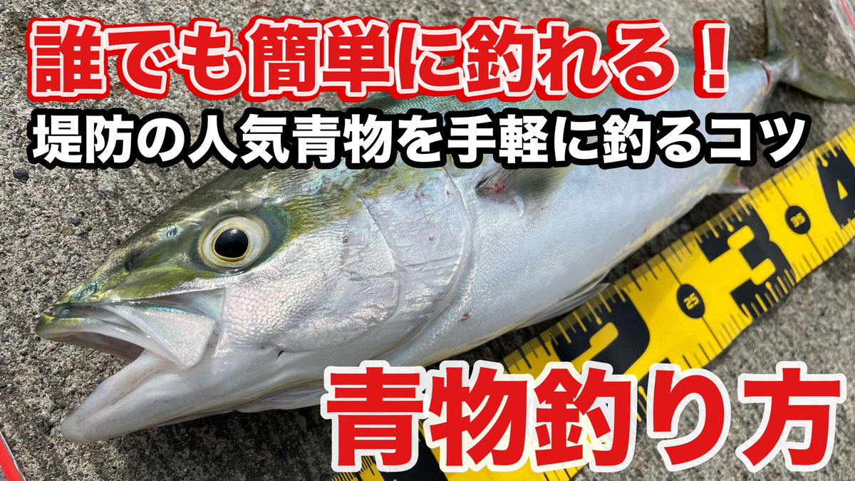 1chigyo_1chie's tweet photo. 🔴YouTube
【いわき小名浜釣り】
青物釣り初心者でも手軽に釣れる！
堤防の人気青物イナダ・ハマチを釣るコツ！

https://t.co/rd7FLzhhyf @YouTubeより

#ショアジギング
#メタルジグおすすめ
#イナダ釣り方
#シーバスロッド https://t.co/kkS2vjmcFY