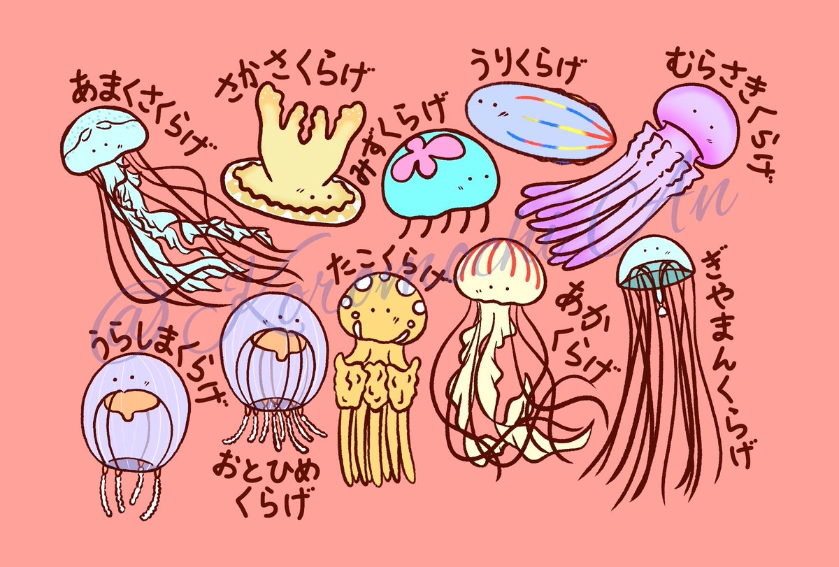 kinokuraya_an's tweet photo. #クラゲ描いてみた
全て実在するクラゲです🪼🪼 https://t.co/WTOdwTVLFz