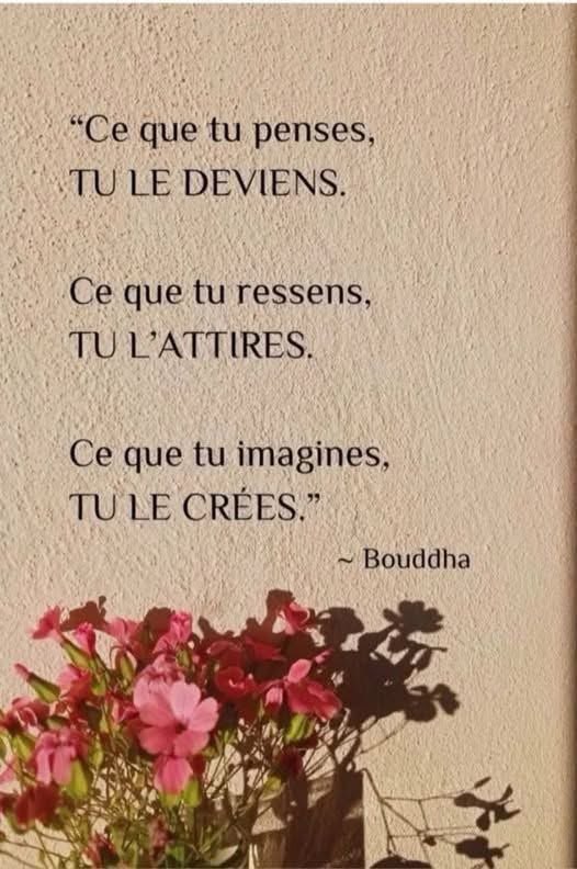 PETIT Pascal tweet media