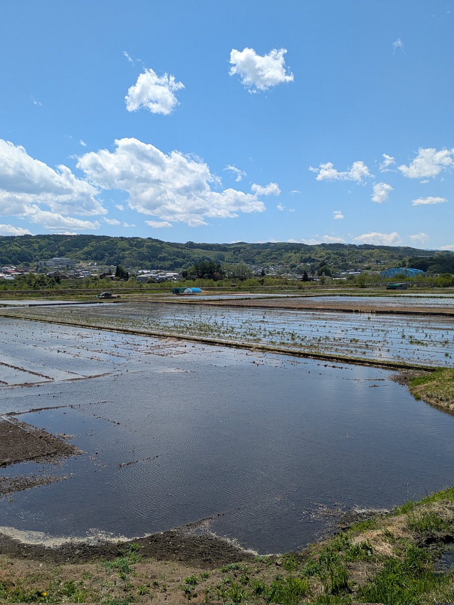 39kankou's tweet photo. 【心からの感謝を込めて】

バルーンフェスティバルが閉幕し、会場周辺の水田に水が張られました。

実はこれ、イベントのために農家さんが田んぼに水を入れる時期を遅らせてくださっているんです。

農家さんの多大なるご協力なくして、この大会は成り立ちません。最大限の敬意と感謝をお伝えします。 https://t.co/zqCXLvfAxU