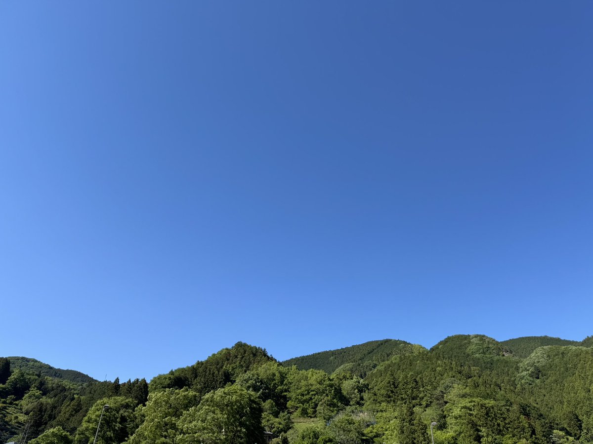 須田紘平 tweet media