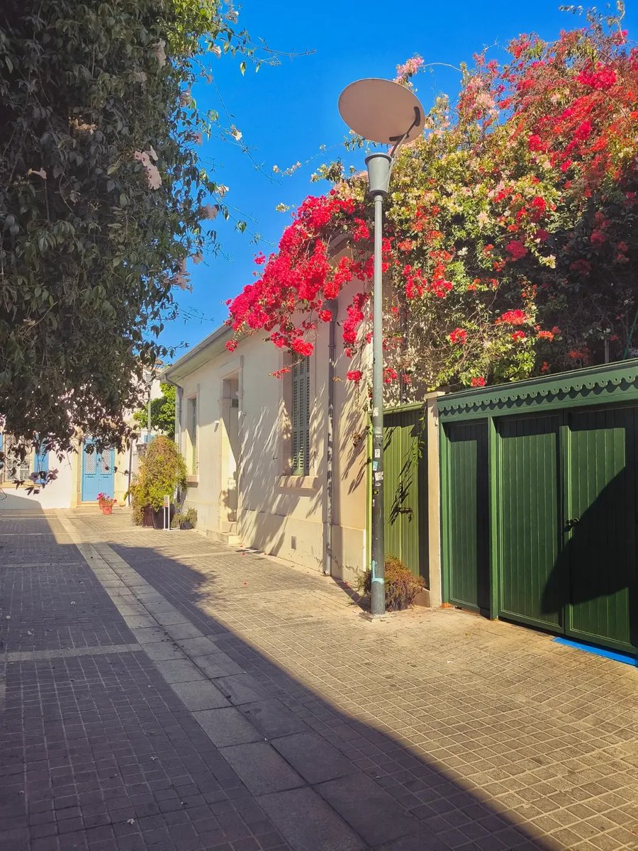 VisitCyprus tweet media