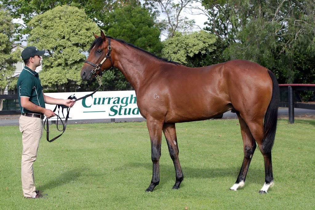 Curraghmore tweet media