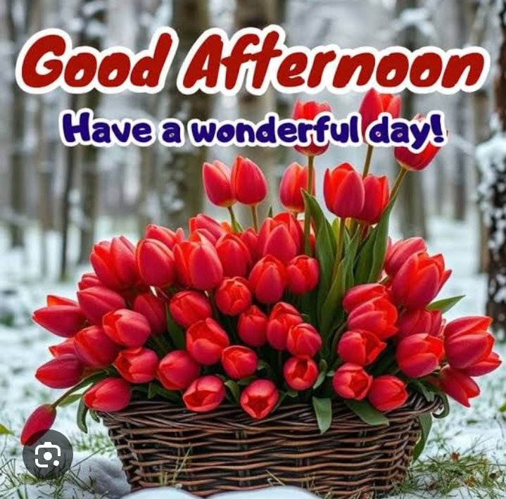 Dimpal2069884's tweet photo. Afternoon, sunlight and good vibes
Good afternoon everyone
शुभ दोपहर मित्रों 🔥💕❤️
#goodafternoon #शुभ_दोपहर
#sunlights #goodvibe https://t.co/bUyCCBppAQ