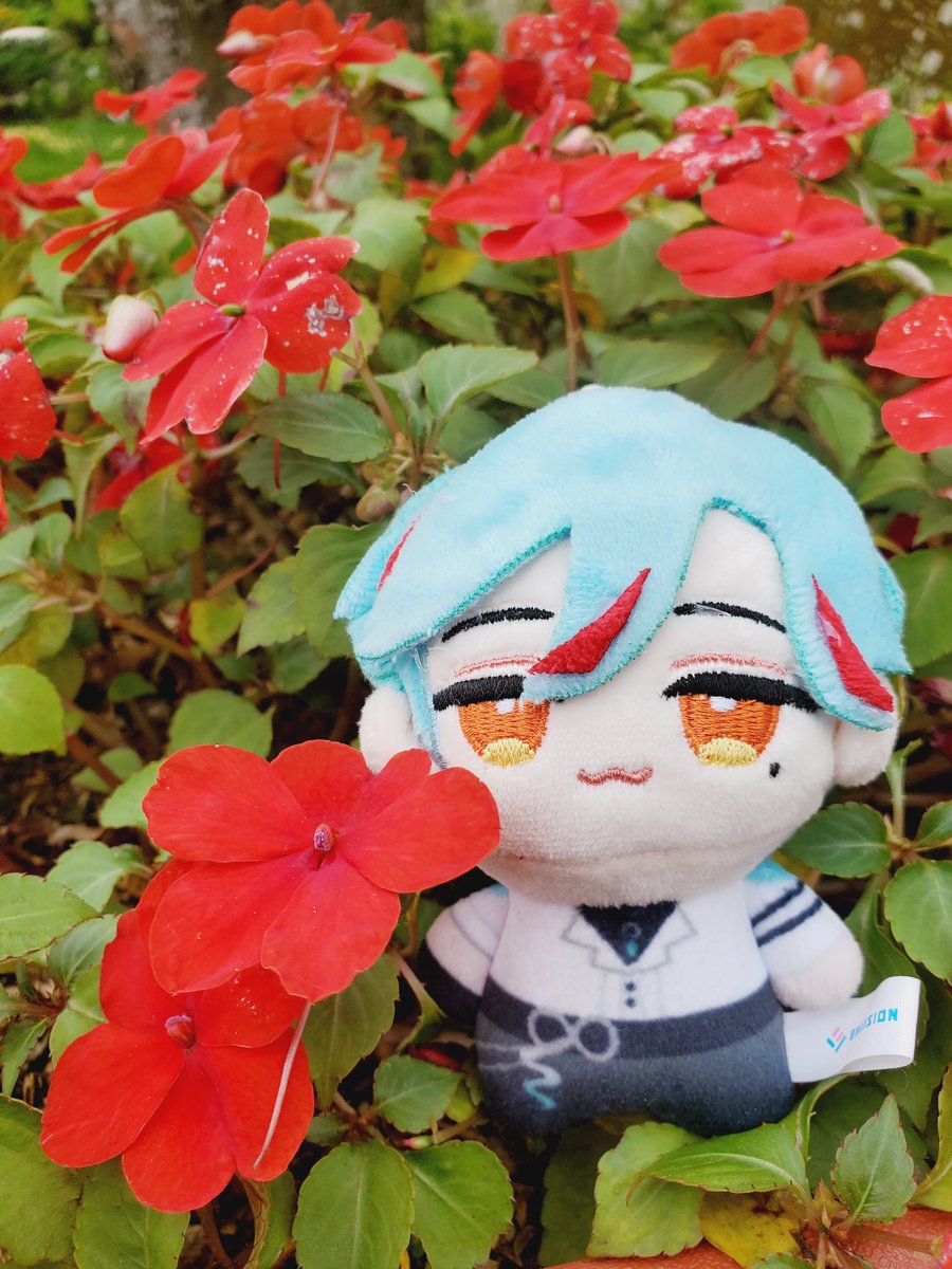 凱西兒ʕ ´• ᴥ •` ʔっ潛水嚕 tweet media