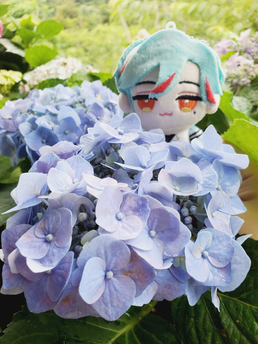 凱西兒ʕ ´• ᴥ •` ʔっ潛水嚕 tweet media