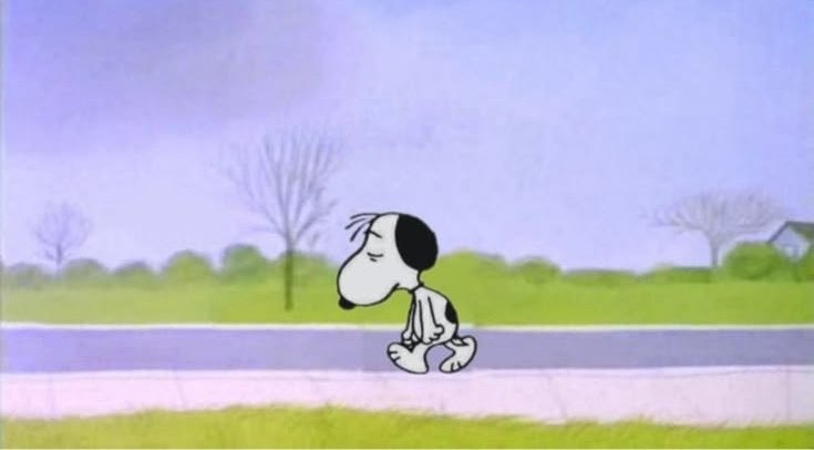 salirconvida's tweet photo. Sábado, vino y se fue https://t.co/XNscxNIkHs
