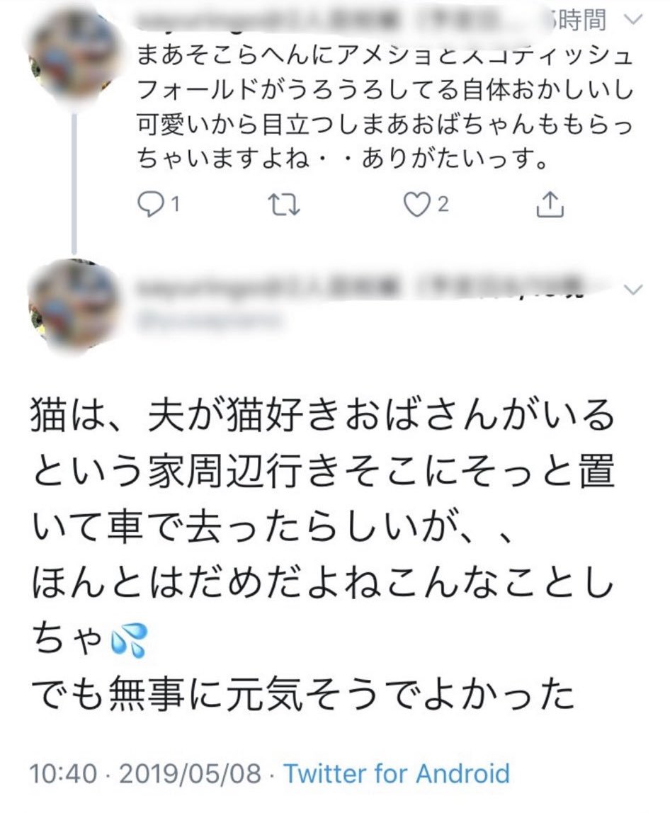 茶トラ局長 tweet media