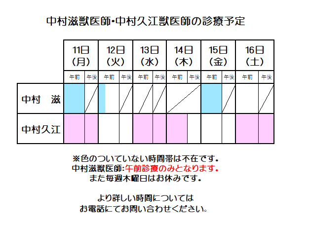 nakavets's tweet photo. 来週の中村滋獣医師、中村久江獣医師の診療予定はこのようになっております。                 
表の色のついていない時間帯は不在です。              
 急な変更もございますので、当日お電話でのご確認をお勧めいたします。 https://t.co/AZtbOCd1VN