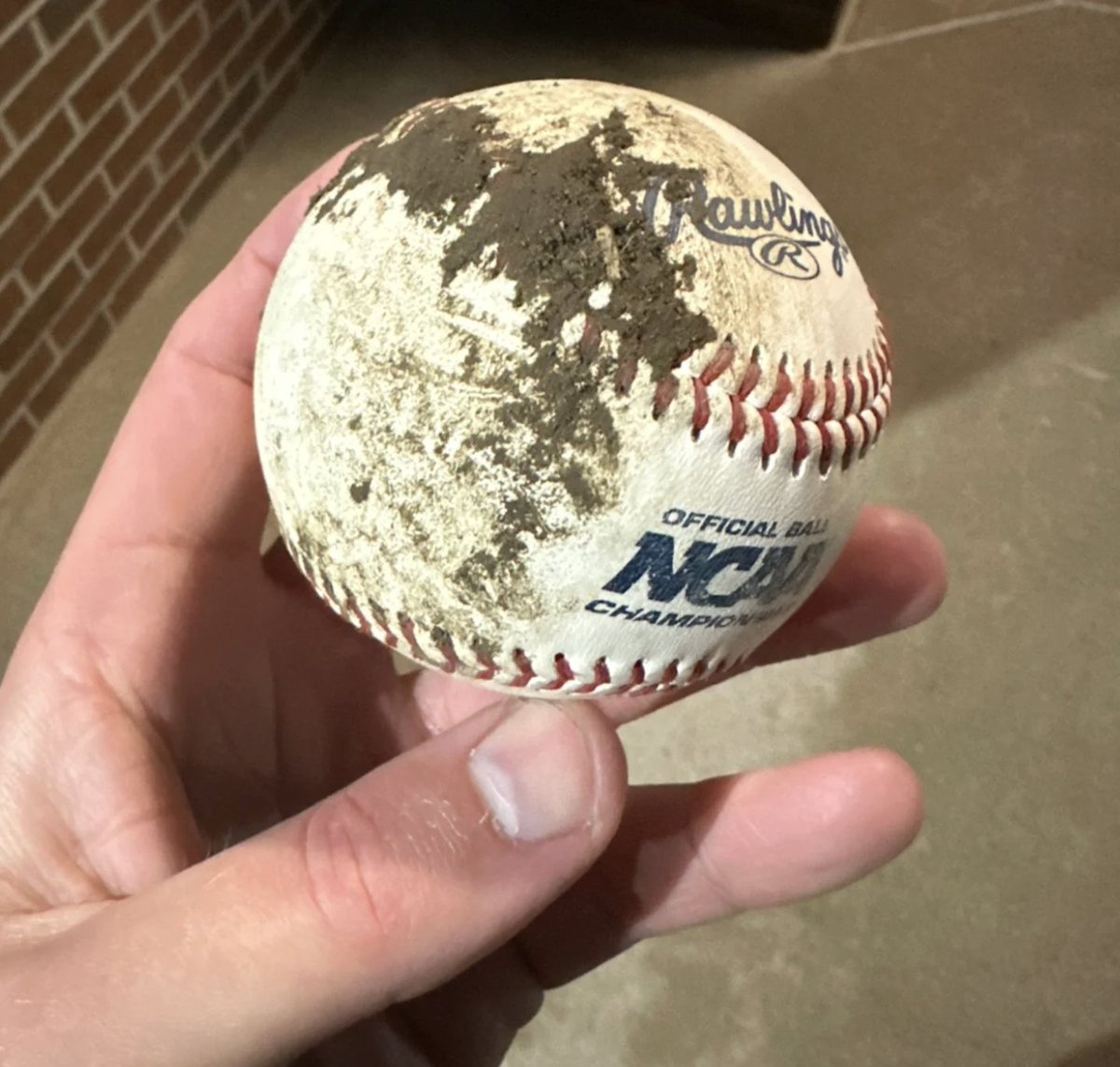 joey_dwy's tweet photo. Vanderbilt fan Murray Harris found the ball that Braden Holcomb hit and says that he has no doubt that it was a home run. 

"Trackman had it going 380 and the fence in that part of the park is 366 feet." 

More @VandyOnSI: 
https://t.co/YthrNpTpZG https://t.co/NCDwyEZEFD