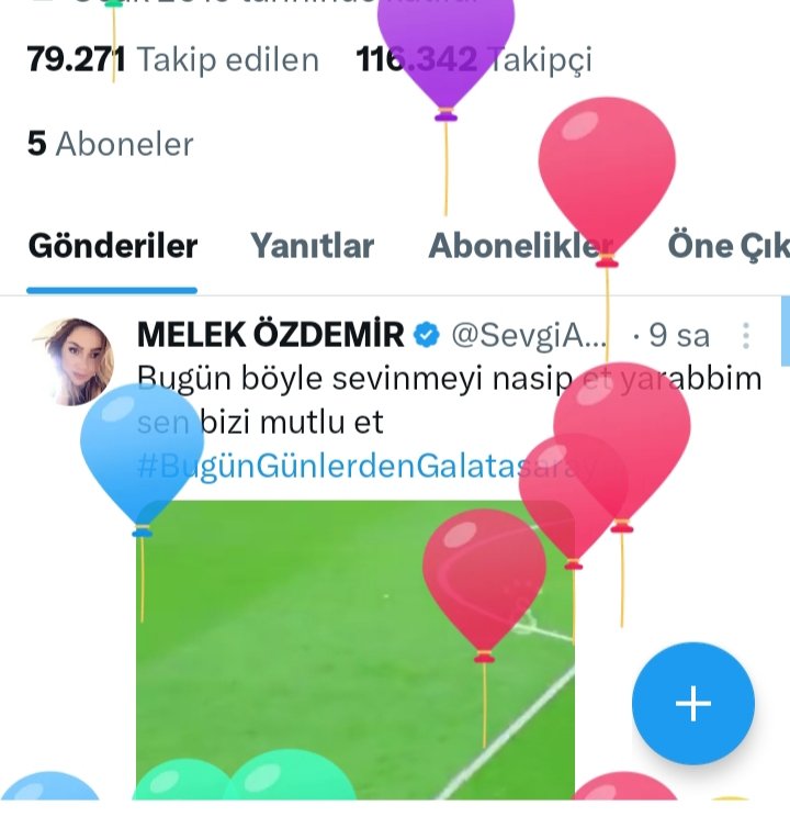 MELEK ÖZDEMİR tweet media