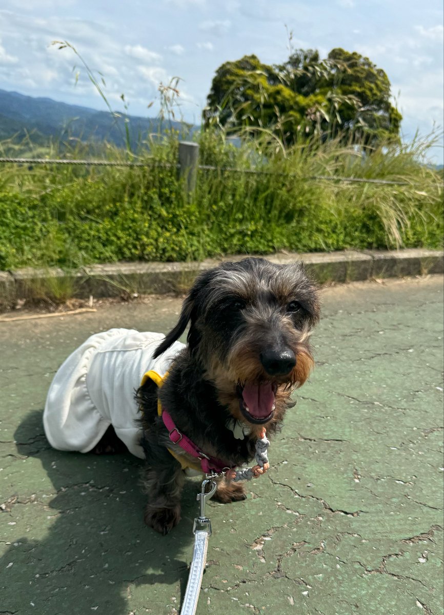 タンクトップのお洋服しか勝たない^ ^