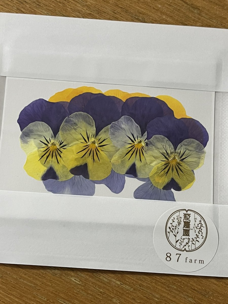 今日はコレ！ エディブルフラワー。 これだけ食べるわけではありません
