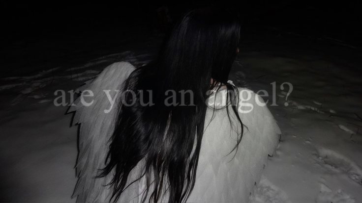 angel. 🪽 tweet media