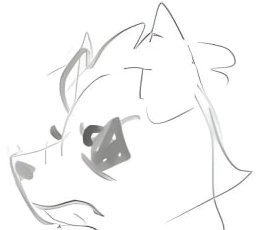 Wolf O Donnell Simp tweet media