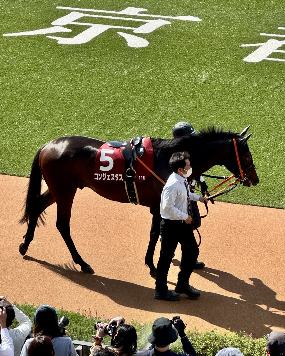 テラちん🐴 tweet media