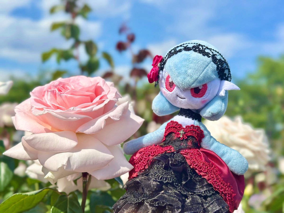 ちゃんさの⑅かわいいものクリエイター🧶🧵🧁 tweet media