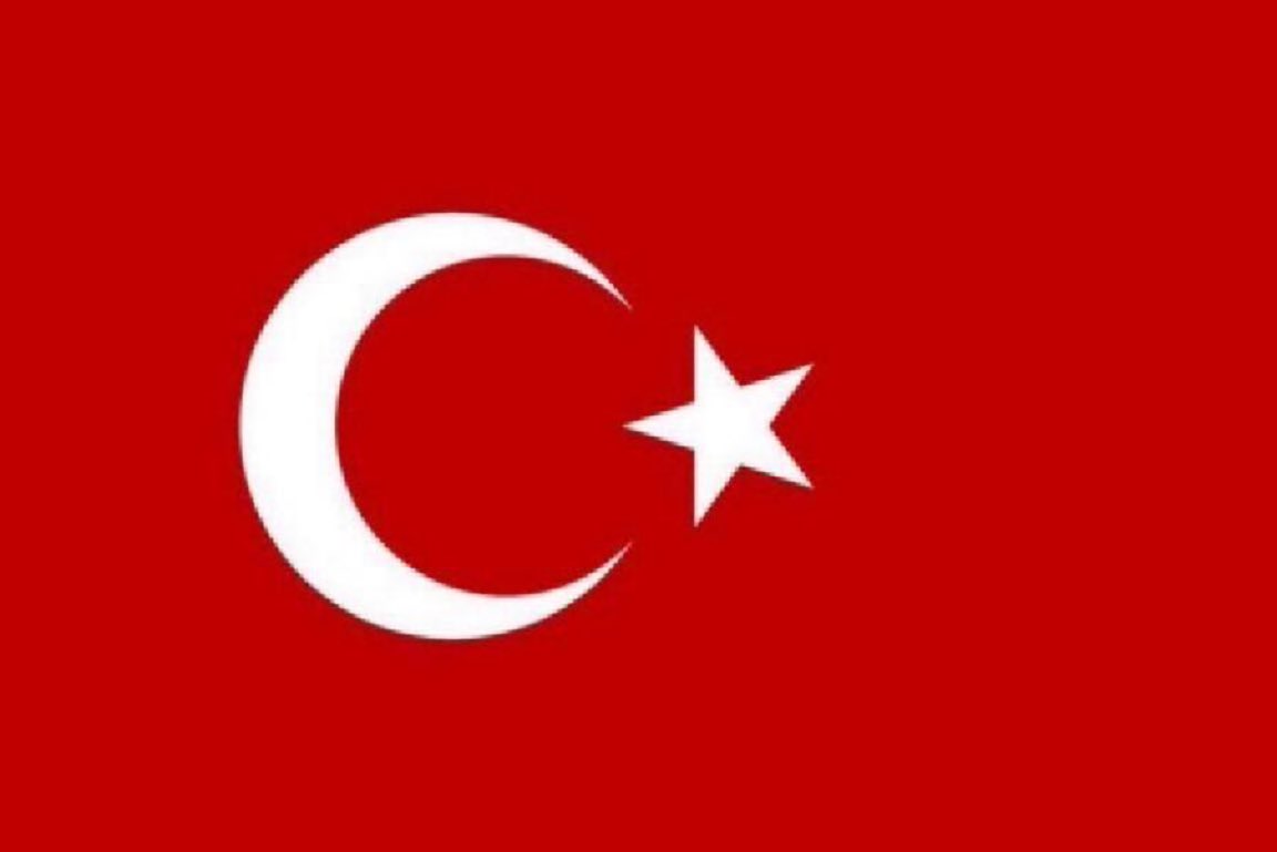 Gökçe Katun tweet media