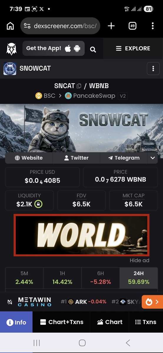 SnowCat tweet media