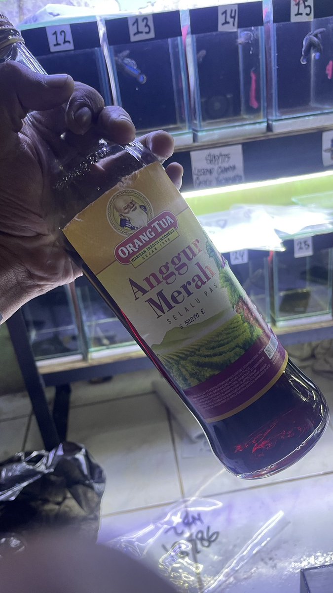 domsnuud's tweet photo. @Sragen_Deavorio tak star disik yo mas ben gari ngancingi mengko nng maguwo🤣 https://t.co/PL46wdtsdp