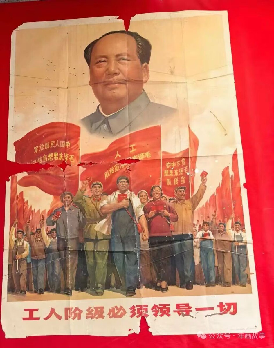 夏洛🇨🇳 tweet media