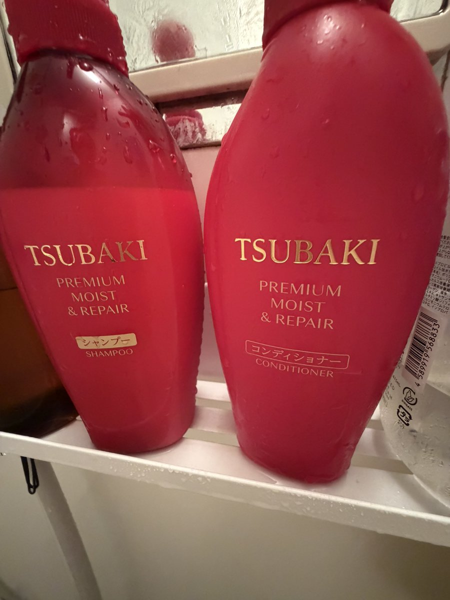 ビーチギャル tweet media