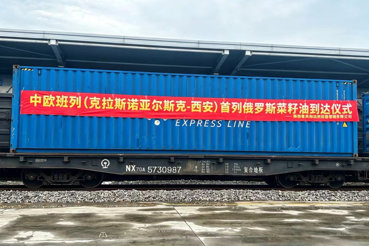 Shaanxi Plus tweet media