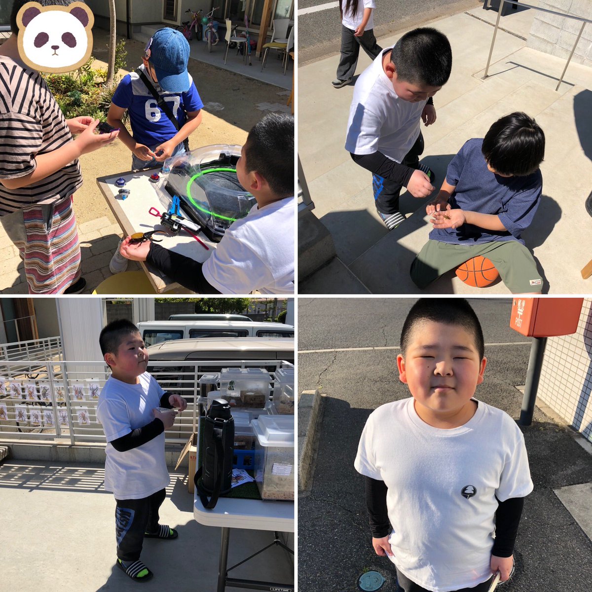 BIGヒロ tweet media