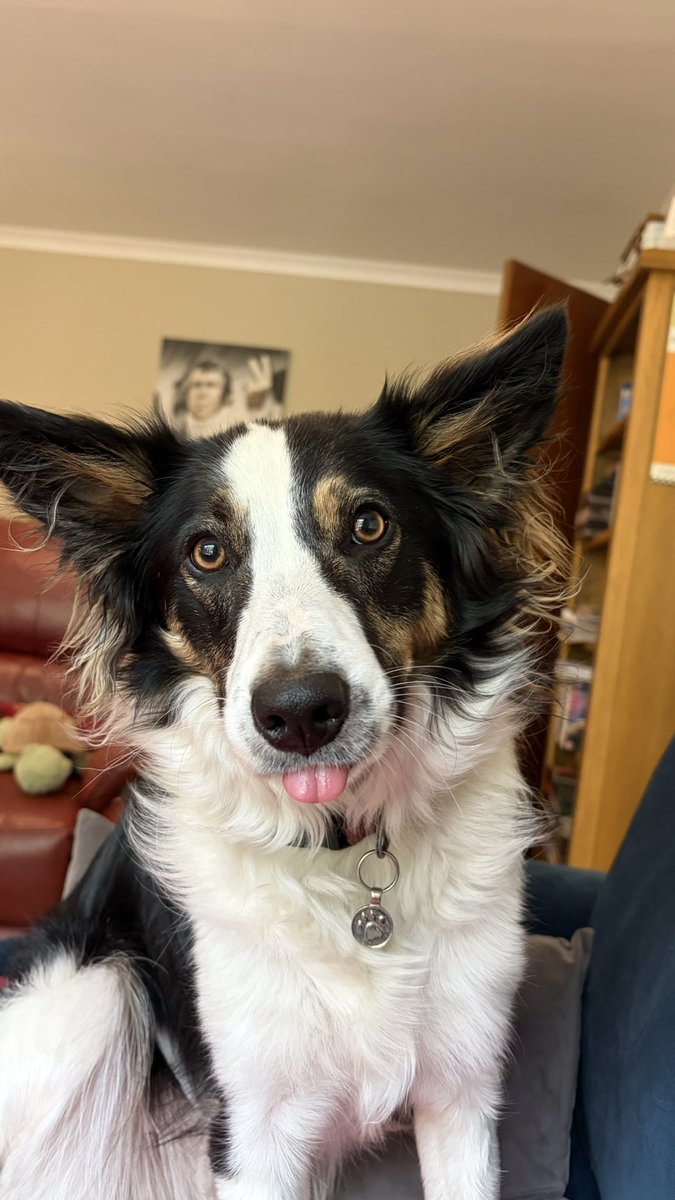 Puppy Bess and Auntie Kes tweet media
