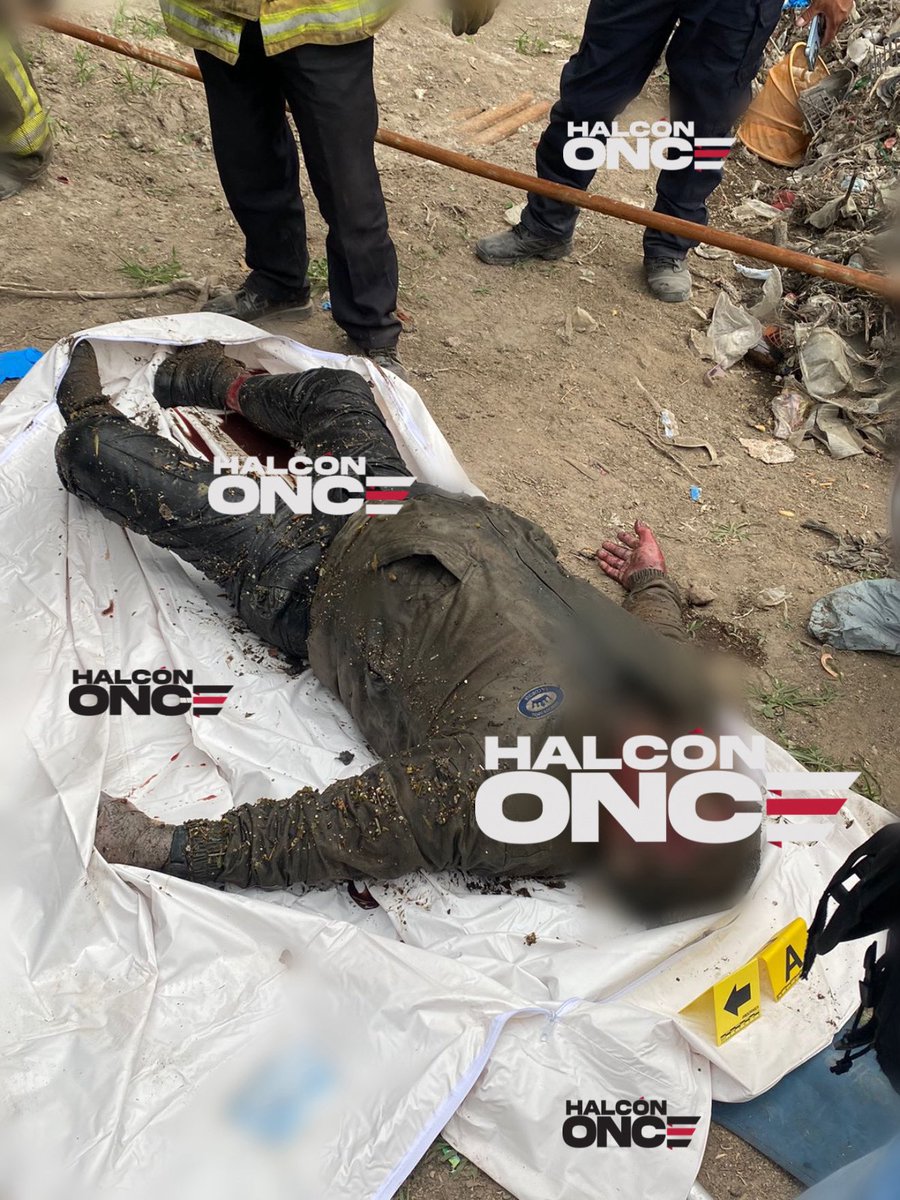 Halcon tweet media