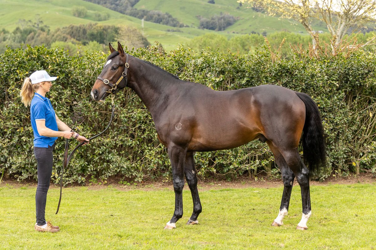 KarakaChat's tweet photo. The $100,000 Listed Rotorua Cup (2200m) was taken out by Pacifico (NZ) (Ardrossan) for @Forsman_Racing 🏆

He was offered by @KBBloodstock in their 2022 NZB Ready to Run Sale draft 🏇🏻

Congrats too all connections 🎉

#WhereWinningBegins✨ https://t.co/JihsMvE2c0