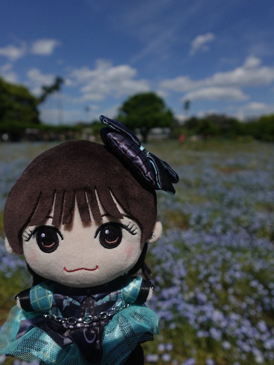 すぅ tweet media