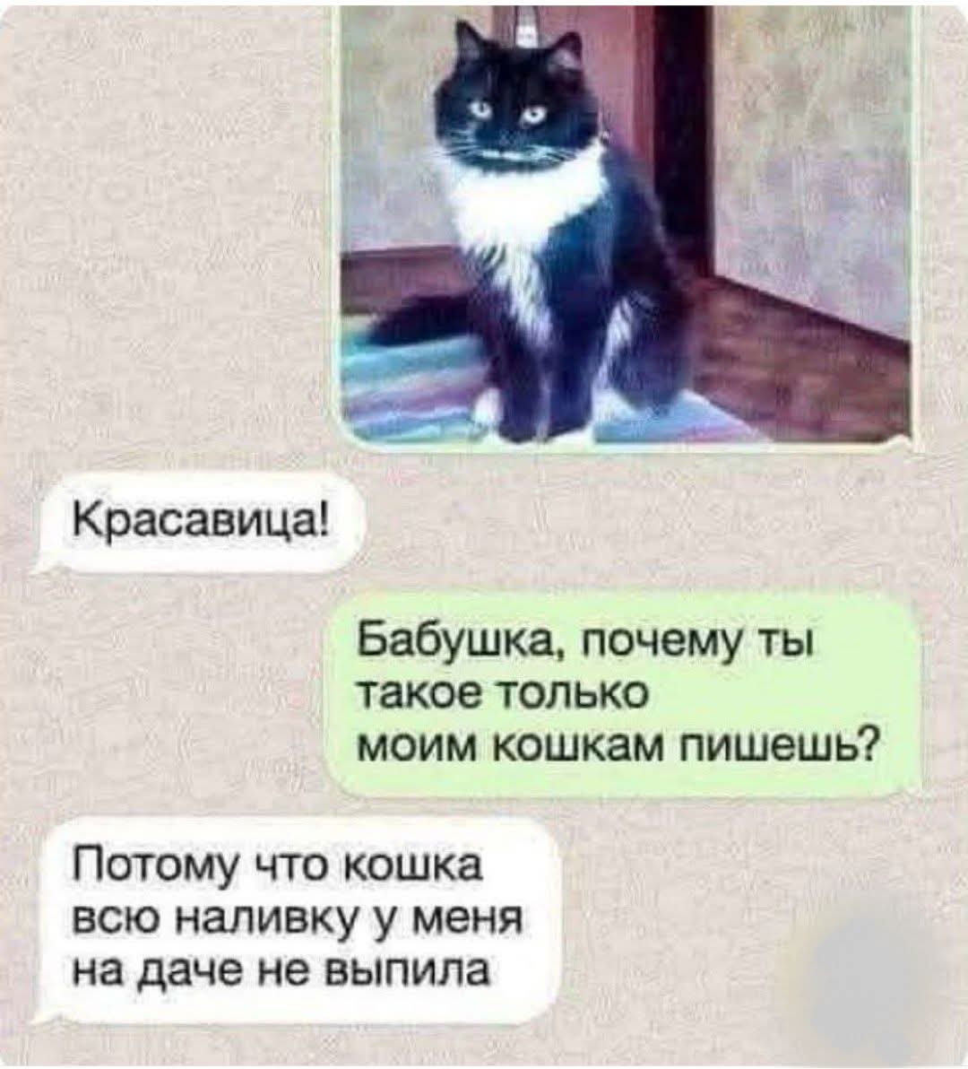 🙄