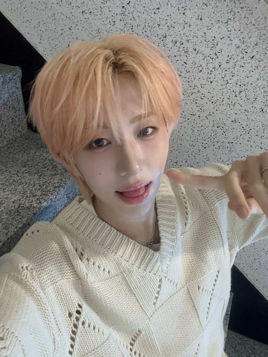누렁이!! tweet media