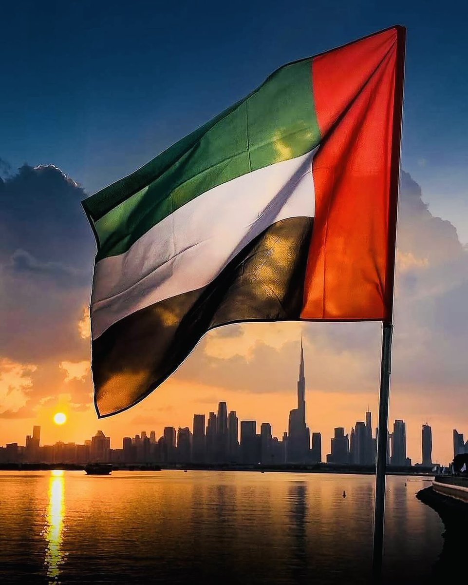 Nasser Al Shaikh ناصر الشيخ tweet media