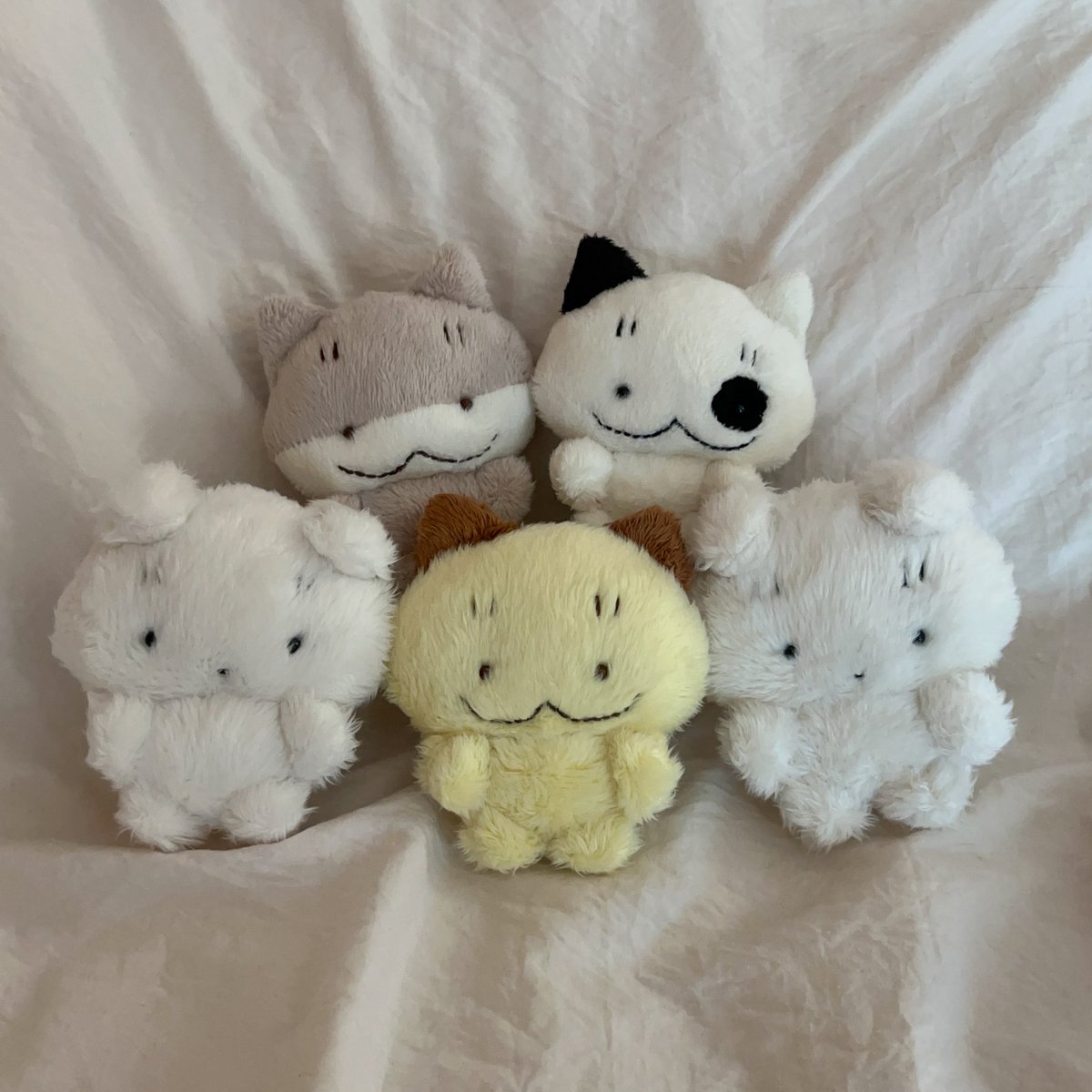 PuffyBrows's tweet photo. かわいいまゆげちゃん達が出来上がるたびに、やはり日本の方々にもご紹介したいという気持ちが溢れます😫 https://t.co/yC5QtvTGuG