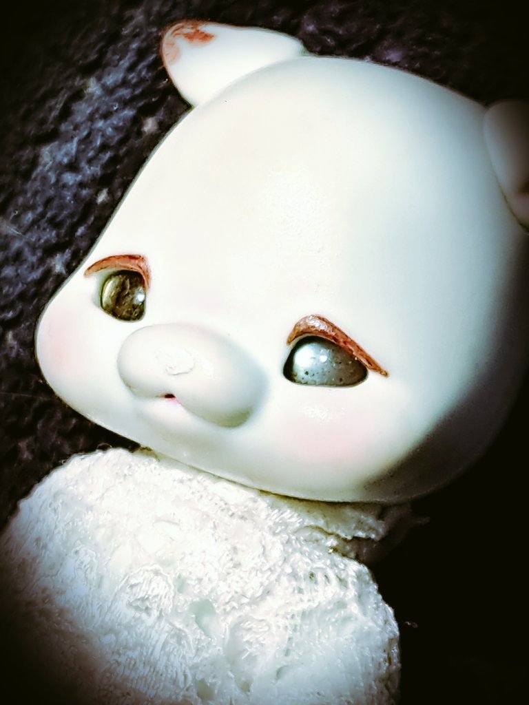 木彫りのトム tweet media