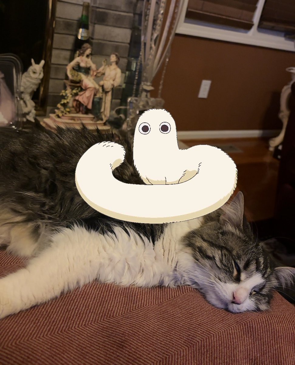 【超激レア】美品❗️Démence / Total Démembrement デス he murdered my cat dawg