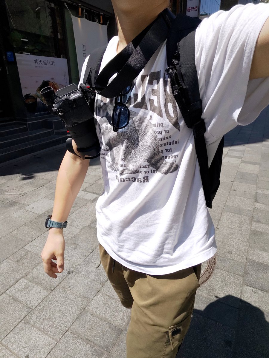 くろ・ざ・らくーん 🦝📸 tweet media
