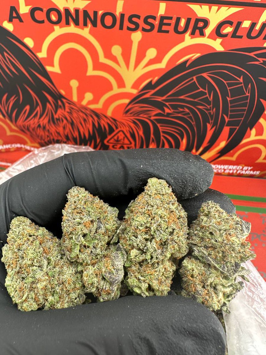 LaDuzz's tweet photo. INDOOR GUSHERS CAKES
10/10 bag appeal ✅✅
10/10 👃👃👃🔥🔥
Super colorful ✅
Tasty😋
Good structure 🏆 https://t.co/WcynAv0KC8
