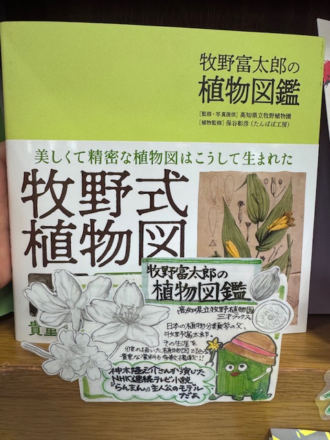 フェア】フェア商品のご紹介📗 『#牧野富太郎の植物図鑑』 NHKの朝ドラ