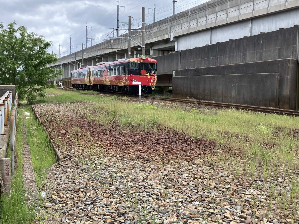 曇り空　場所を求めて、我慢我慢でどうにか写せた。