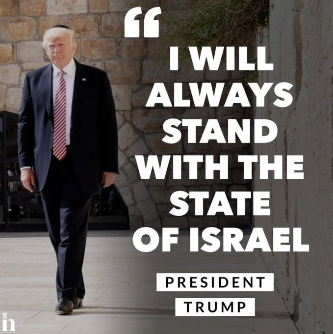 Vivid.🇮🇱 tweet media