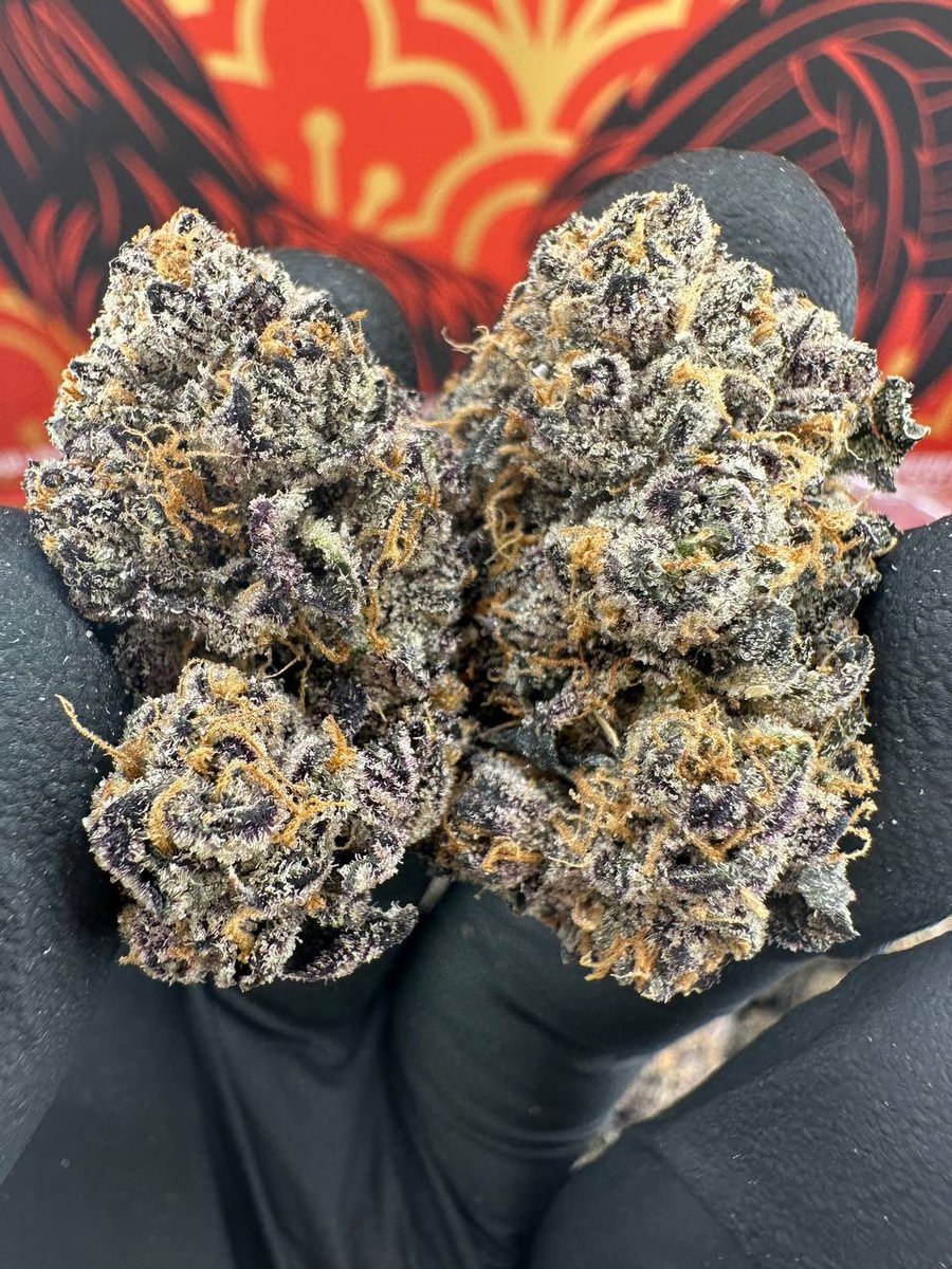 LaDuzz's tweet photo. CAJUN GUMBO 
(Exotics) 
Comes with full pound packaging 
And 8th packaging available if wanted (no extra charges) … ✔️
10/10 bag appeal 🔥🔥🔥
10/10 👃👃👃⛽️🍒🍬
Real candy 🍬 
Great color ✅
Good structure 💪 https://t.co/MMOGh6zdXE