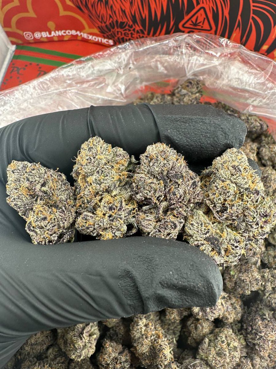 LaDuzz's tweet photo. CAJUN GUMBO 
(Exotics) 
Comes with full pound packaging 
And 8th packaging available if wanted (no extra charges) … ✔️
10/10 bag appeal 🔥🔥🔥
10/10 👃👃👃⛽️🍒🍬
Real candy 🍬 
Great color ✅
Good structure 💪 https://t.co/MMOGh6zdXE